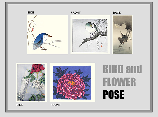 Bird and Flower Pose Blog